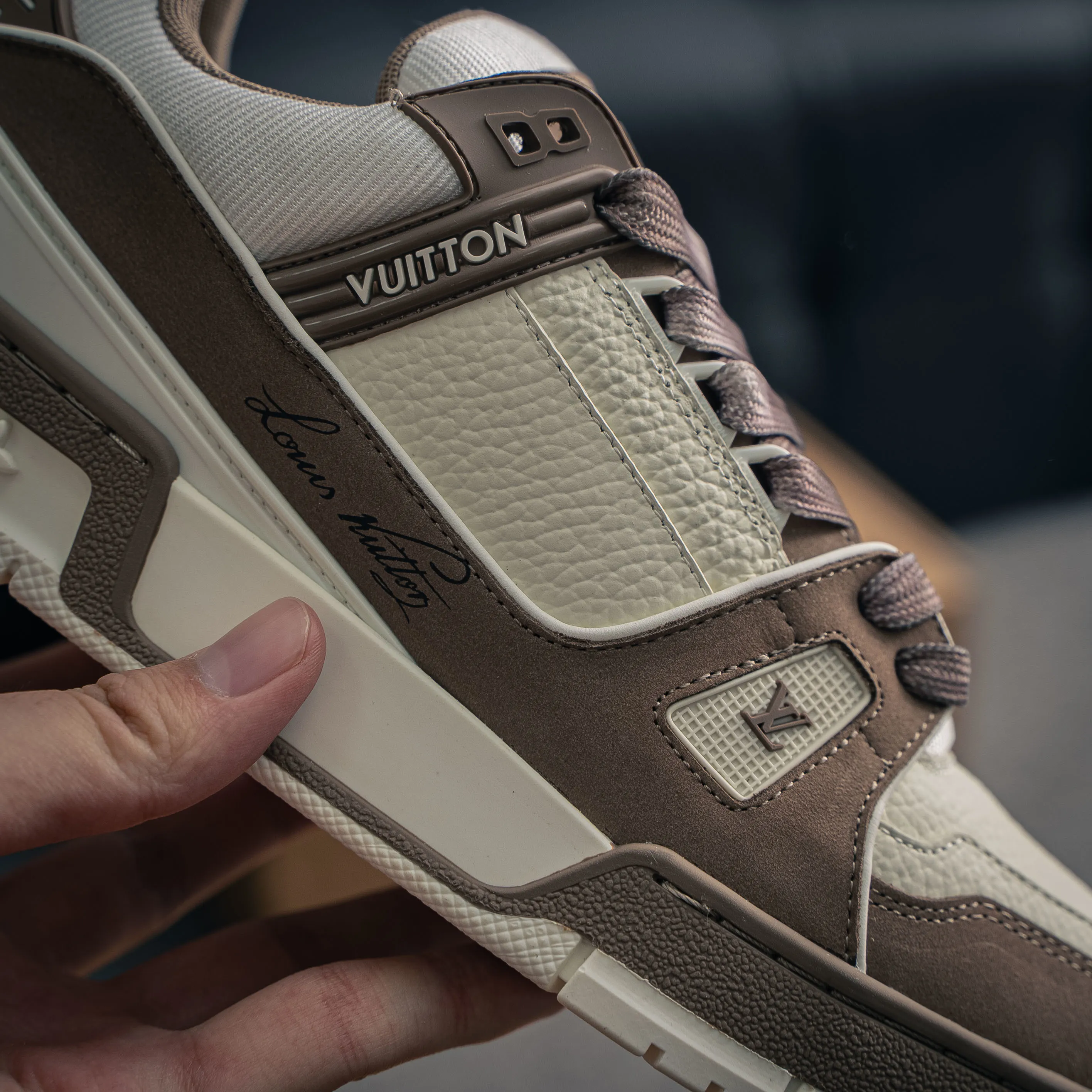 Louis Vuitton Trainer lv Sneakers Shoes Shoes